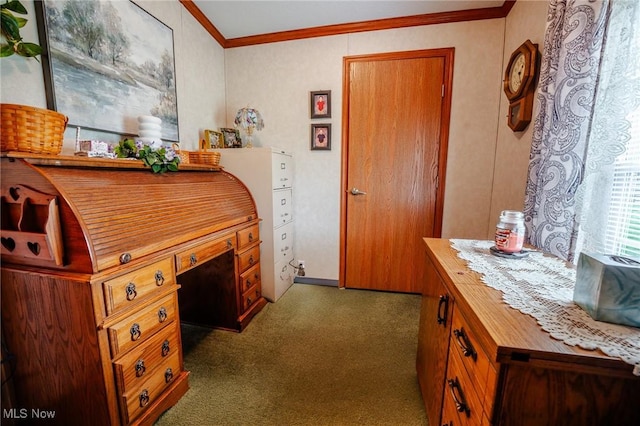 carpeted office space with crown molding