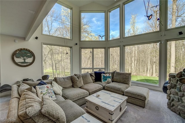 carpeted living area with a high ceiling