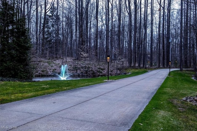 view of community with a wooded view and a lawn
