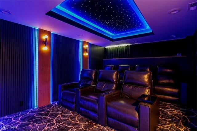 cinema room featuring a raised ceiling