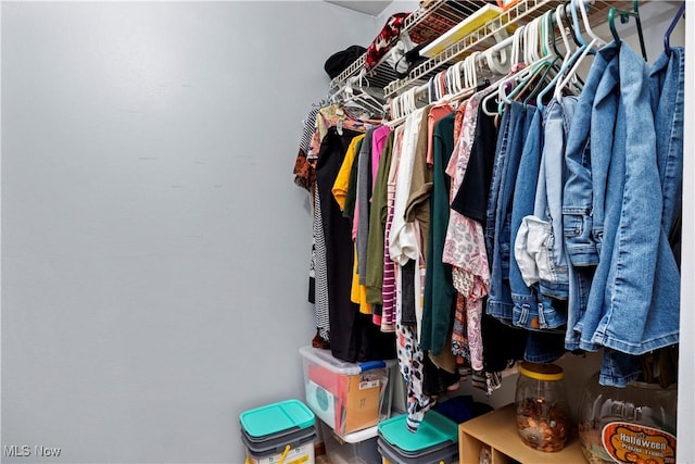 view of spacious closet