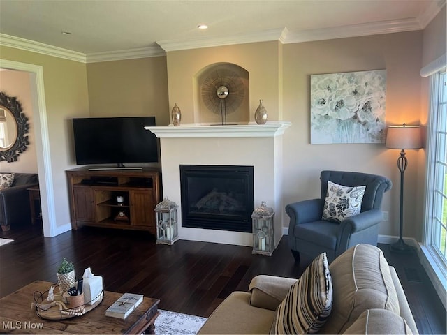 living area with hardwood / wood-style flooring, a fireplace, and crown molding