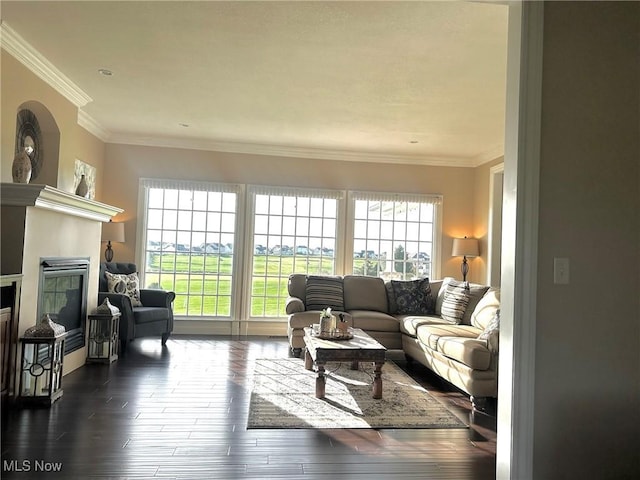 living area featuring plenty of natural light, a glass covered fireplace, ornamental molding, and dark wood-style flooring