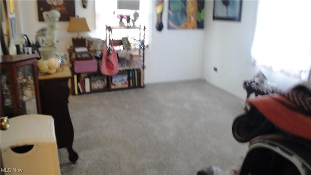 46 Navajo, Creston, OH 44217 - living area featuring carpet
