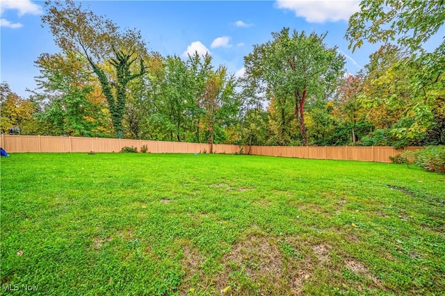 6980 Painesville Ravenna Rd, Concord, OH 44077 - view of yard with fence