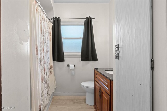 120 Hillcrest Dr, Wellsburg, WV 26070 - bathroom with wood finished floors, toilet, vanity, baseboards, and a shower with shower curtain