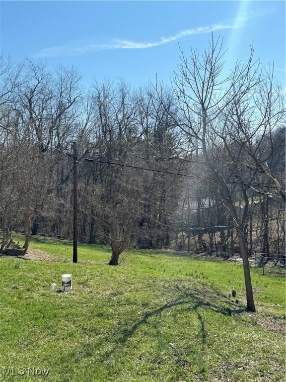 view of yard with a view of trees