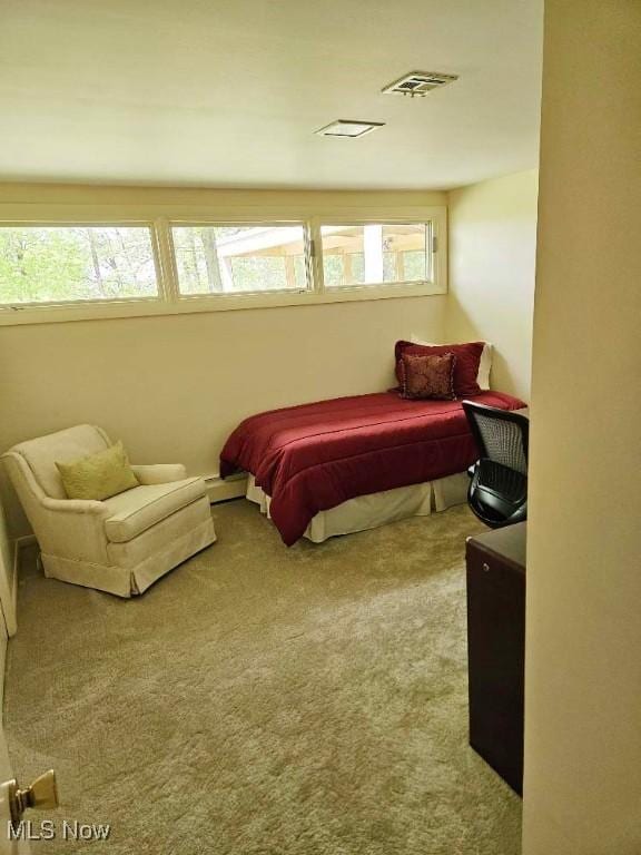 805 Lynnwood Dr, Minerva, OH 44657 - carpeted bedroom featuring a baseboard radiator