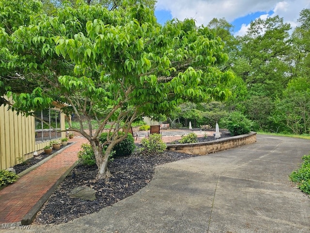 805 Lynnwood Dr, Minerva, OH 44657 - view of patio