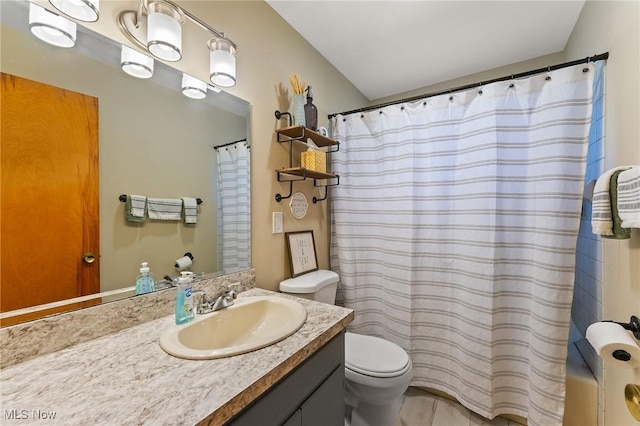 bathroom featuring toilet and vanity