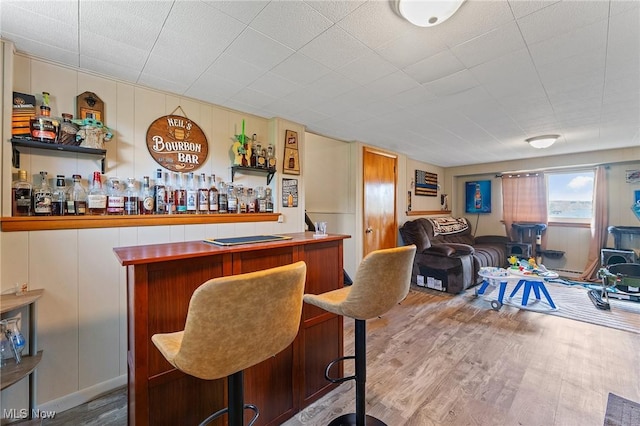 bar featuring a dry bar and wood finished floors