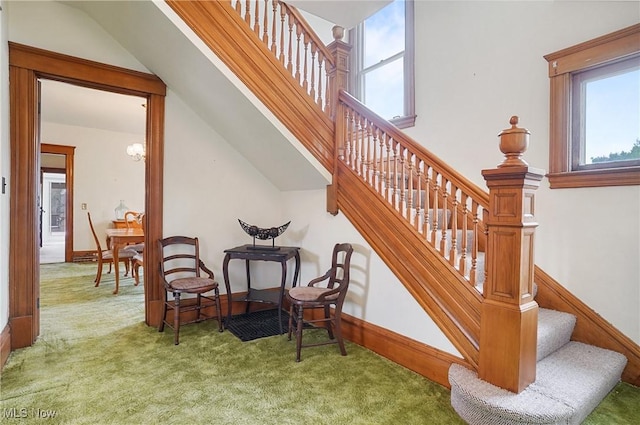 stairway featuring carpet, baseboards, and plenty of natural light
