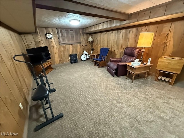 2476 Willow Brook Dr NW, Dover, OH 44622 - sitting room with wood walls and carpet floors