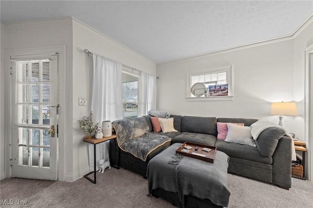 living area featuring baseboards, carpet floors, and crown molding