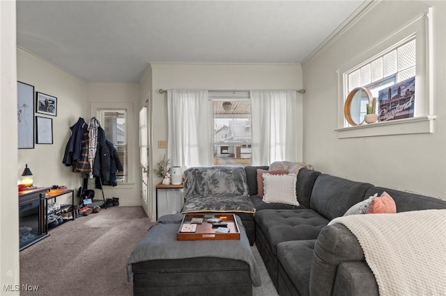 carpeted living room featuring a wealth of natural light and ornamental molding