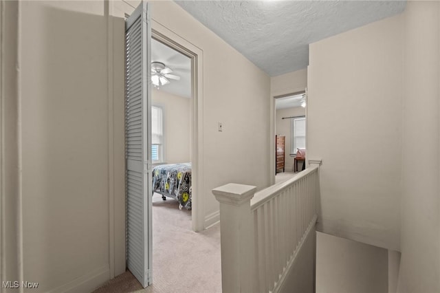hallway featuring a textured ceiling, a wealth of natural light, light carpet, and an upstairs landing