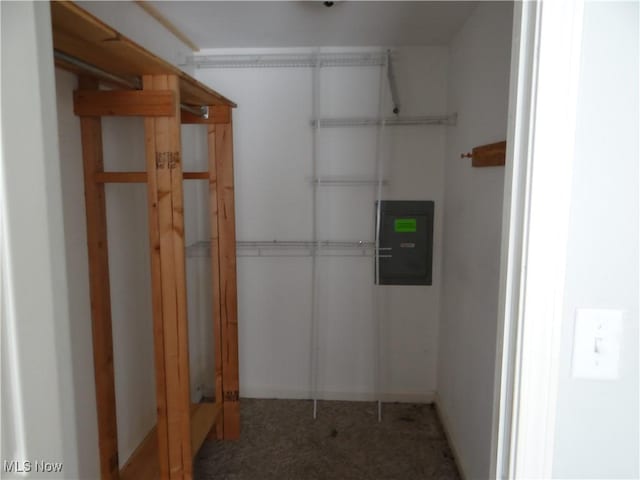22742 US Route 30, Minerva, OH 44657 - spacious closet with carpet