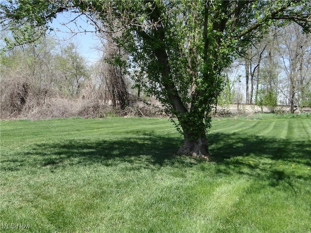 22742 US Route 30, Minerva, OH 44657 - view of yard