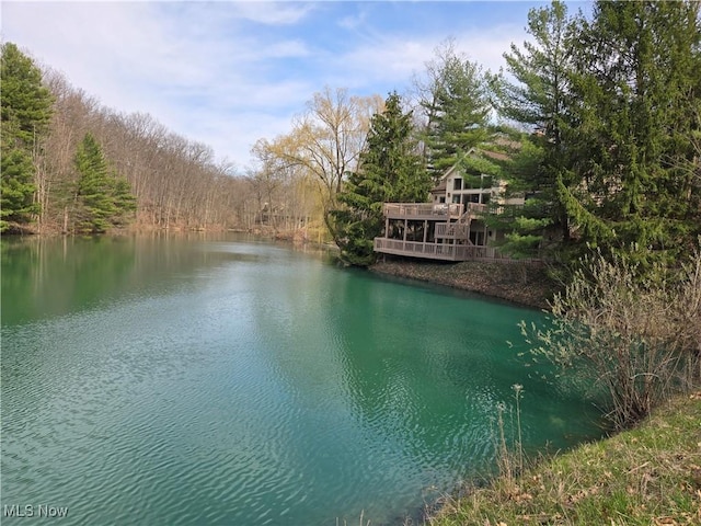 water view with a view of trees