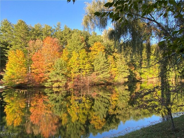 4845 Timber Creek Dr, Medina, OH 44256 - water view featuring a forest