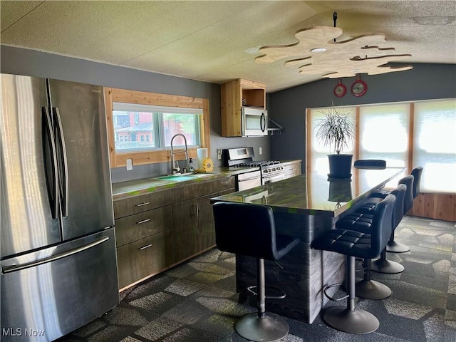 1376 Fairview Ave, Atwater, OH 44201 - kitchen featuring a sink, a textured ceiling, vaulted ceiling, dark colored carpet, and appliances with stainless steel finishes