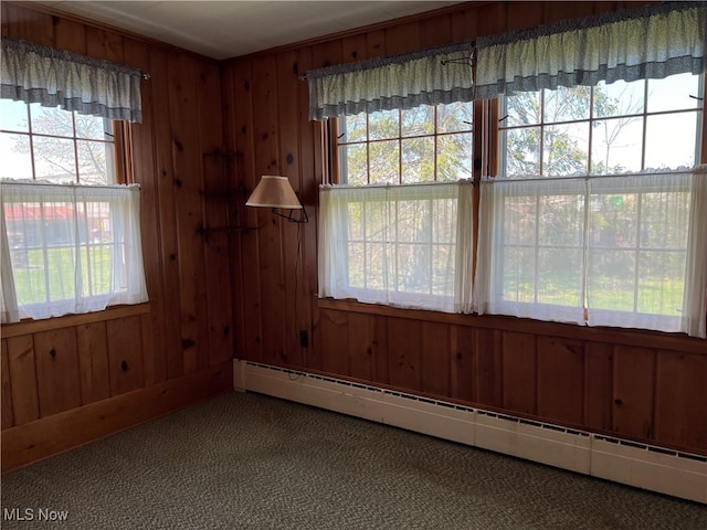 201 Gilcher Ct, Sandusky, OH 44870 - unfurnished room featuring baseboard heating, carpet floors, wood walls, and a healthy amount of sunlight
