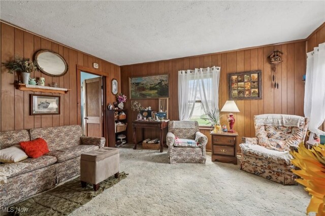 944 Bey Rd, Akron, OH 44312 - carpeted living area featuring wooden walls and a textured ceiling