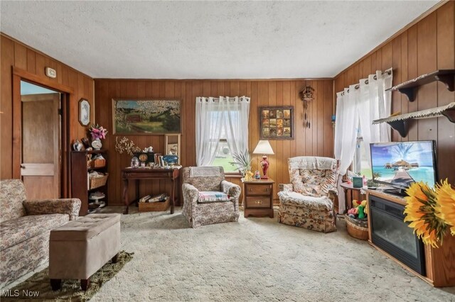 944 Bey Rd, Akron, OH 44312 - living room with carpet, wood walls, and a textured ceiling