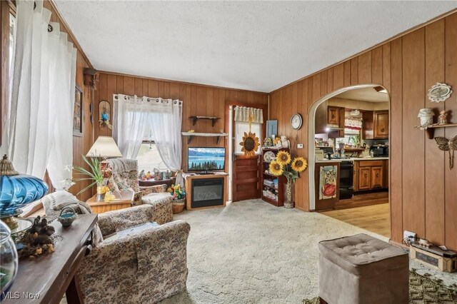 944 Bey Rd, Akron, OH 44312 - living room with arched walkways, wooden walls, light colored carpet, and a textured ceiling