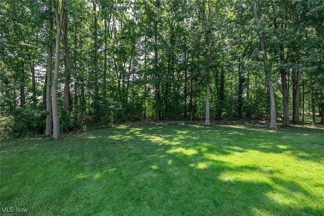 32403 Legacy Pointe Pkwy, Avon Lake, OH 44012 - photo 50