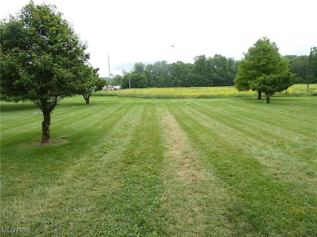 403 Sandy Dr, Cambridge, OH 43725 - view of green lawn
