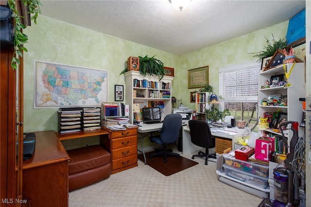 office space featuring carpet and a textured ceiling