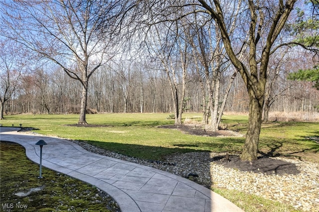 surrounding community with a yard