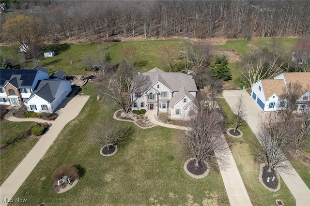 bird's eye view
