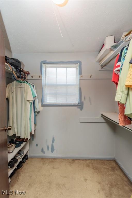 walk in closet with carpet