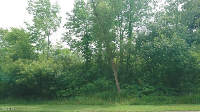 VL Palomino Trail, Kirtland, OH 44094 - photo 2