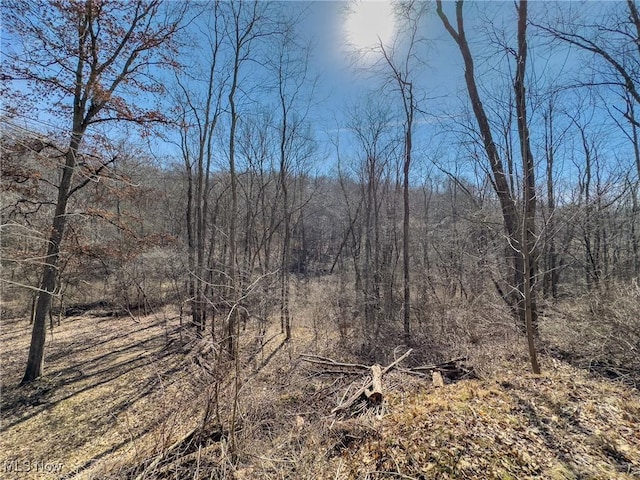 0 Bower Rd, Scio, OH 43988