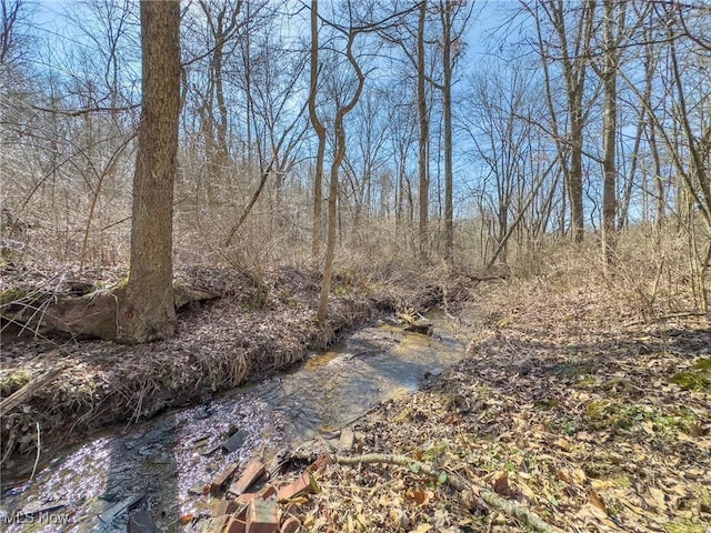 0 Bower Rd, Scio, OH 43988