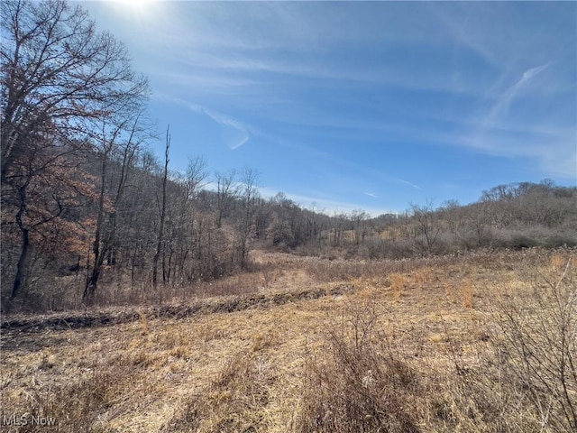 0 Bower Rd, Scio, OH 43988