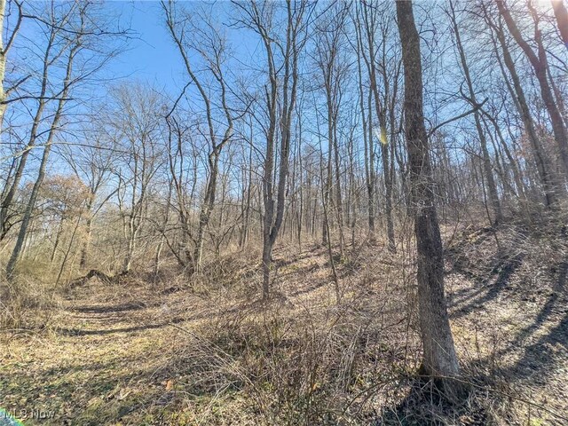0 Bower Rd, Scio, OH 43988