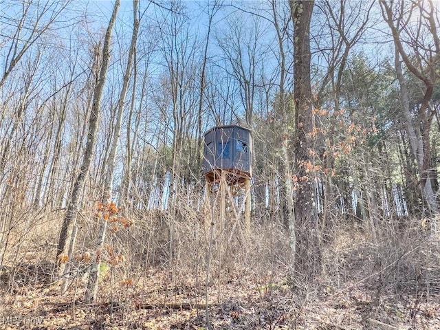 0 Bower Rd, Scio, OH 43988