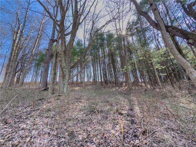 0 Bower Rd, Scio, OH 43988