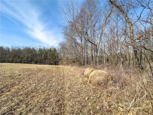 0 Bower Rd, Scio, OH 43988