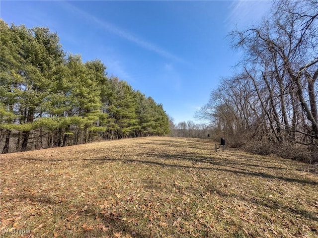 0 Bower Rd, Scio, OH 43988