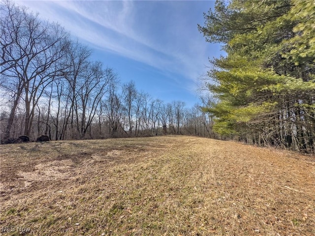 0 Bower Rd, Scio, OH 43988
