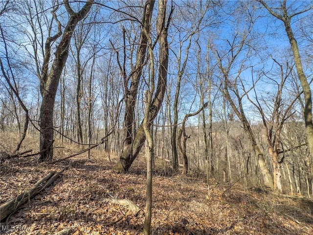 0 Bower Rd, Scio, OH 43988