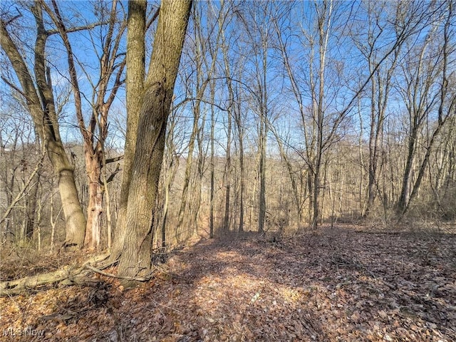 0 Bower Rd, Scio, OH 43988