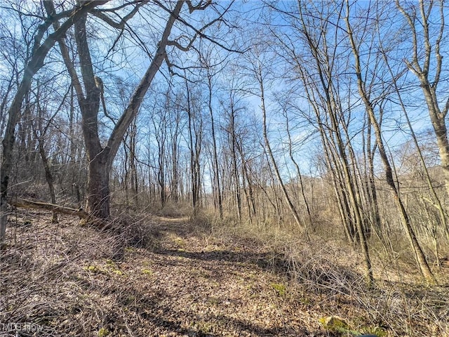 0 Bower Rd, Scio, OH 43988