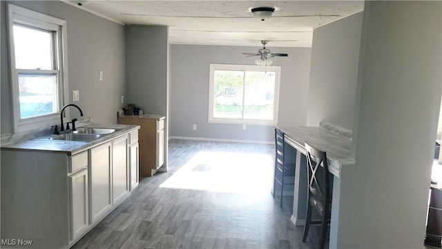 135 Paradise Blvd, Madison, OH 44057 - kitchen with light wood-style flooring, a sink, baseboards, a ceiling fan, and light countertops