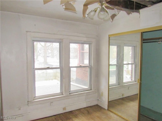 empty room featuring ceiling fan and light wood finished floors